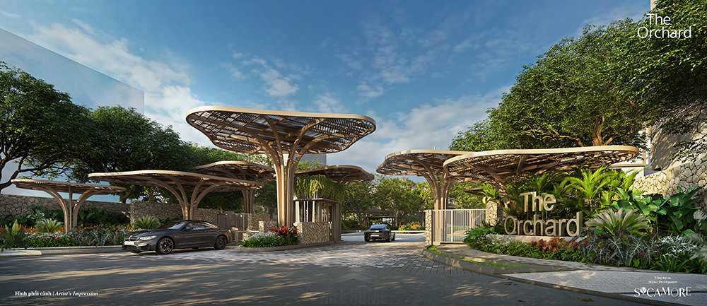 sycamore binh duong 4