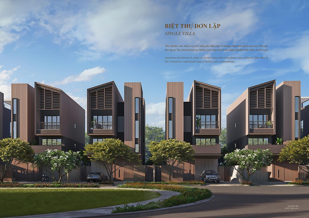 thiet ke sycamore 1