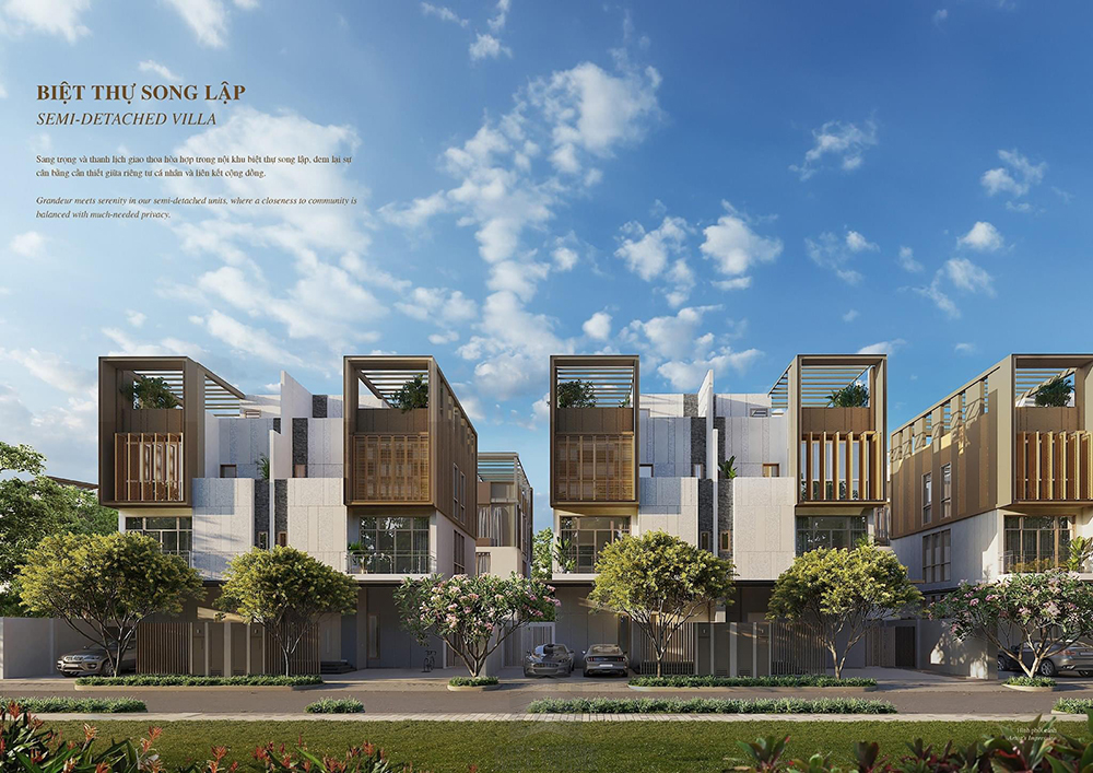 thiet ke sycamore 2